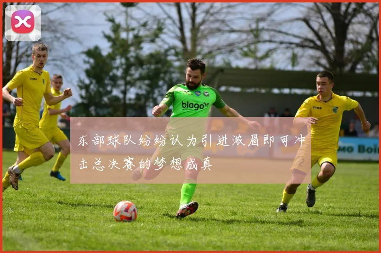 东部球队纷纷认为引进浓眉即可冲击总决赛的梦想成真