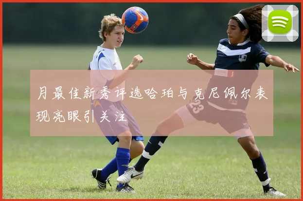 月最佳新秀评选哈珀与克尼佩尔表现亮眼引关注