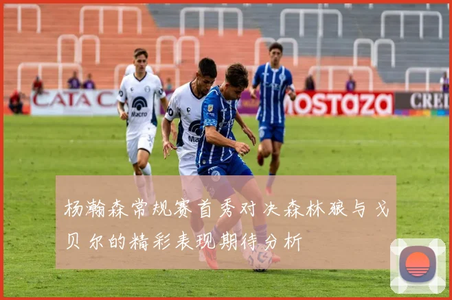 杨瀚森常规赛首秀对决森林狼与戈贝尔的精彩表现期待分析