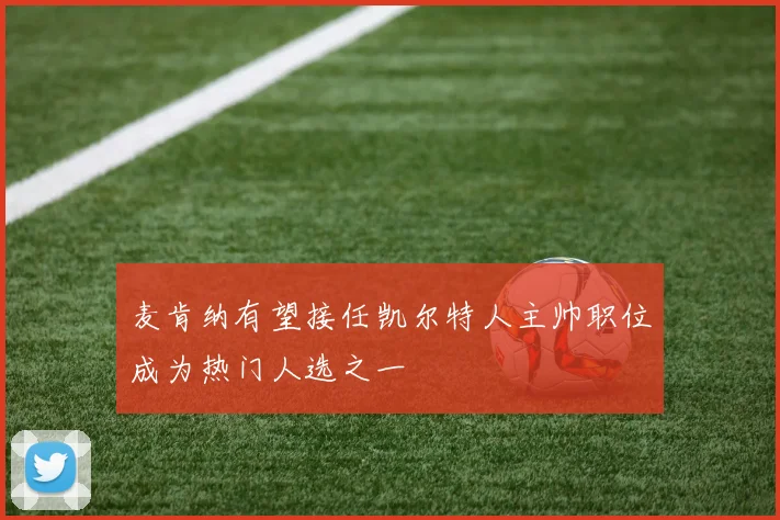 麦肯纳有望接任凯尔特人主帅职位成为热门人选之一