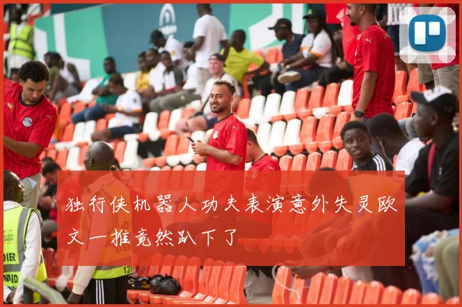 独行侠机器人功夫表演意外失灵欧文一推竟然趴下了