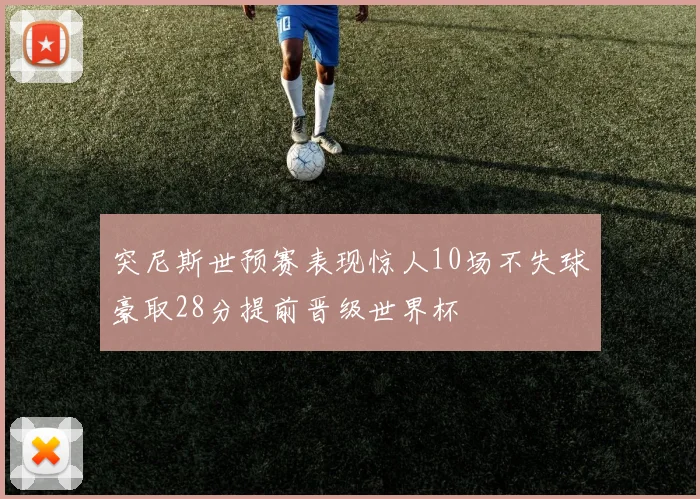突尼斯世预赛表现惊人10场不失球豪取28分提前晋级世界杯