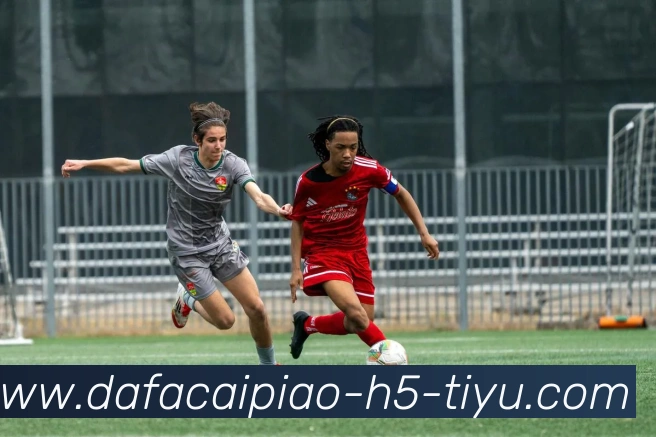 大发彩票平台生态图