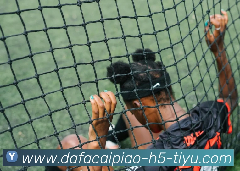 大发彩票全站App